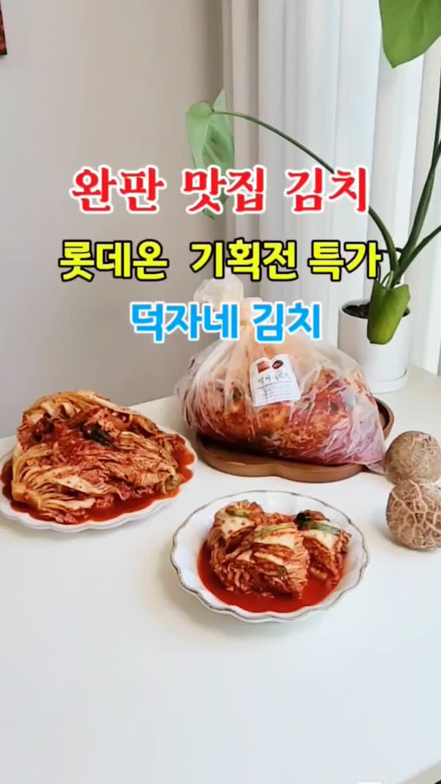 인스타그램 인플루언서 사진